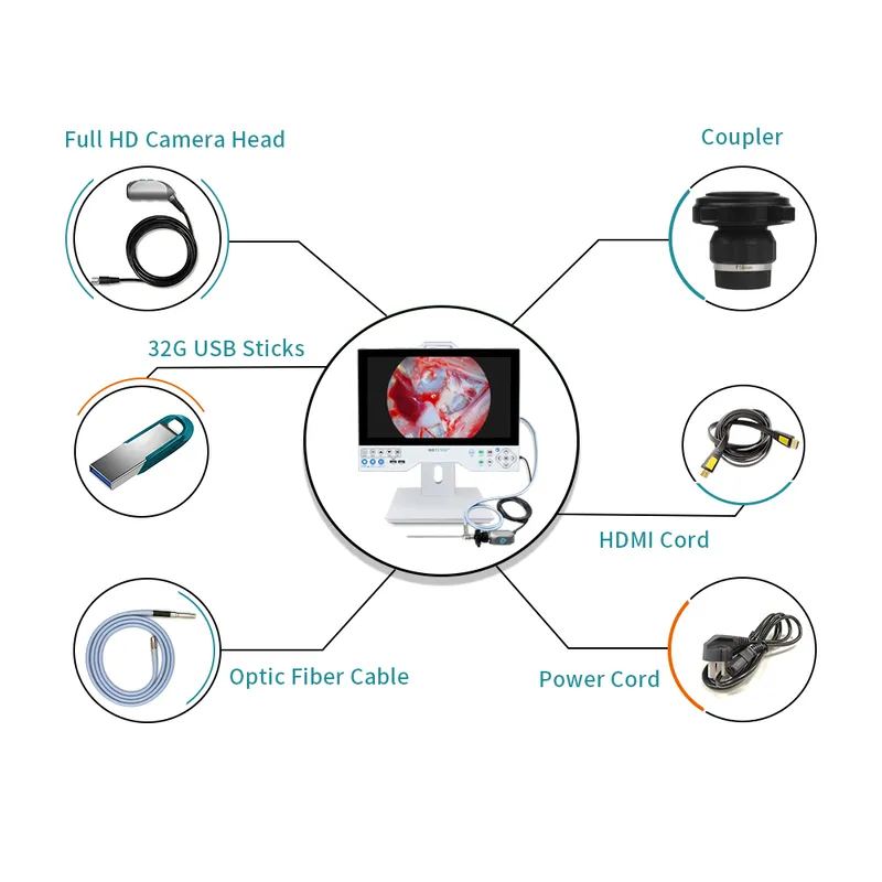 Système de caméra d'endoscopie médicale tout-en-un de 15,6 pouces avec stockage intégré de 256 Go et source lumineuse LED de 100 W
